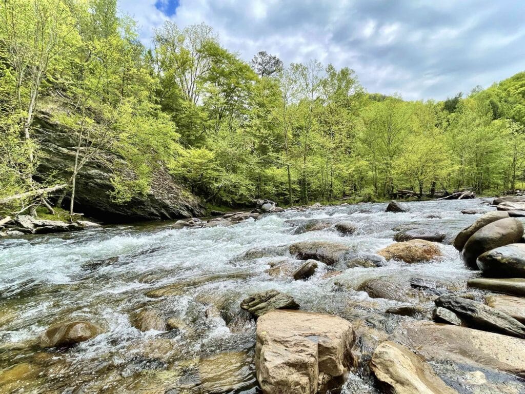 Smokey Mountain Stream